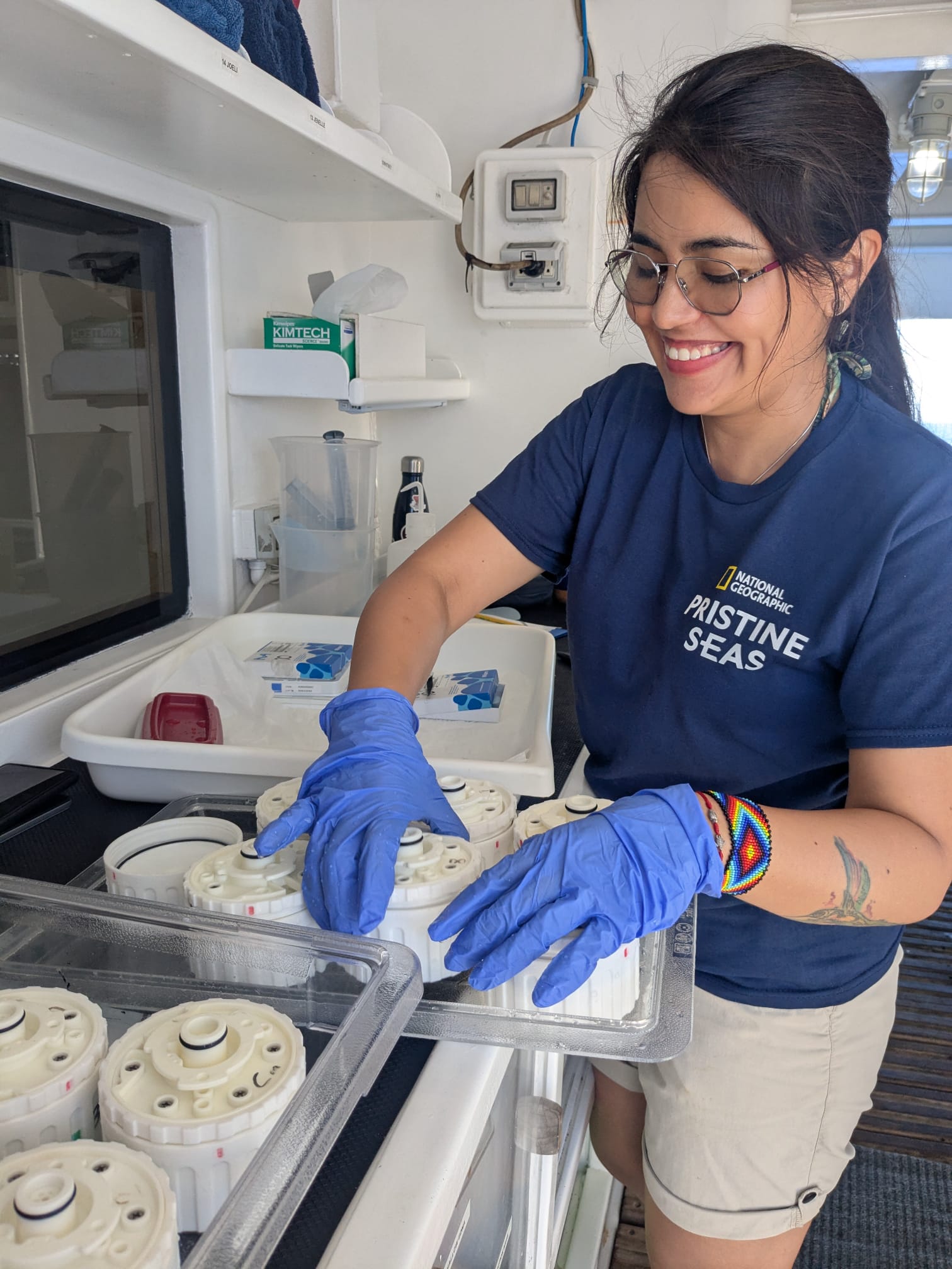 Caribbean coral restoration