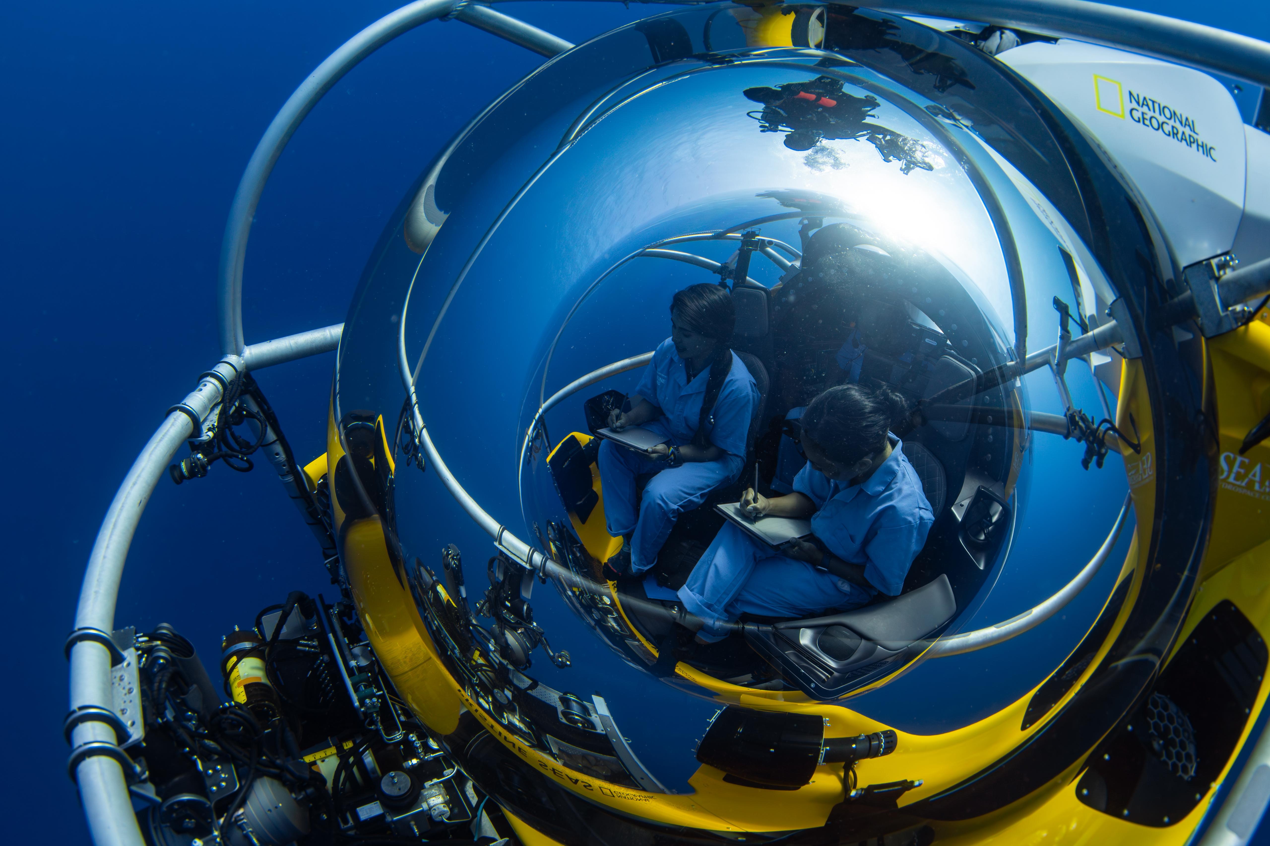 Yellow coral in the ocean